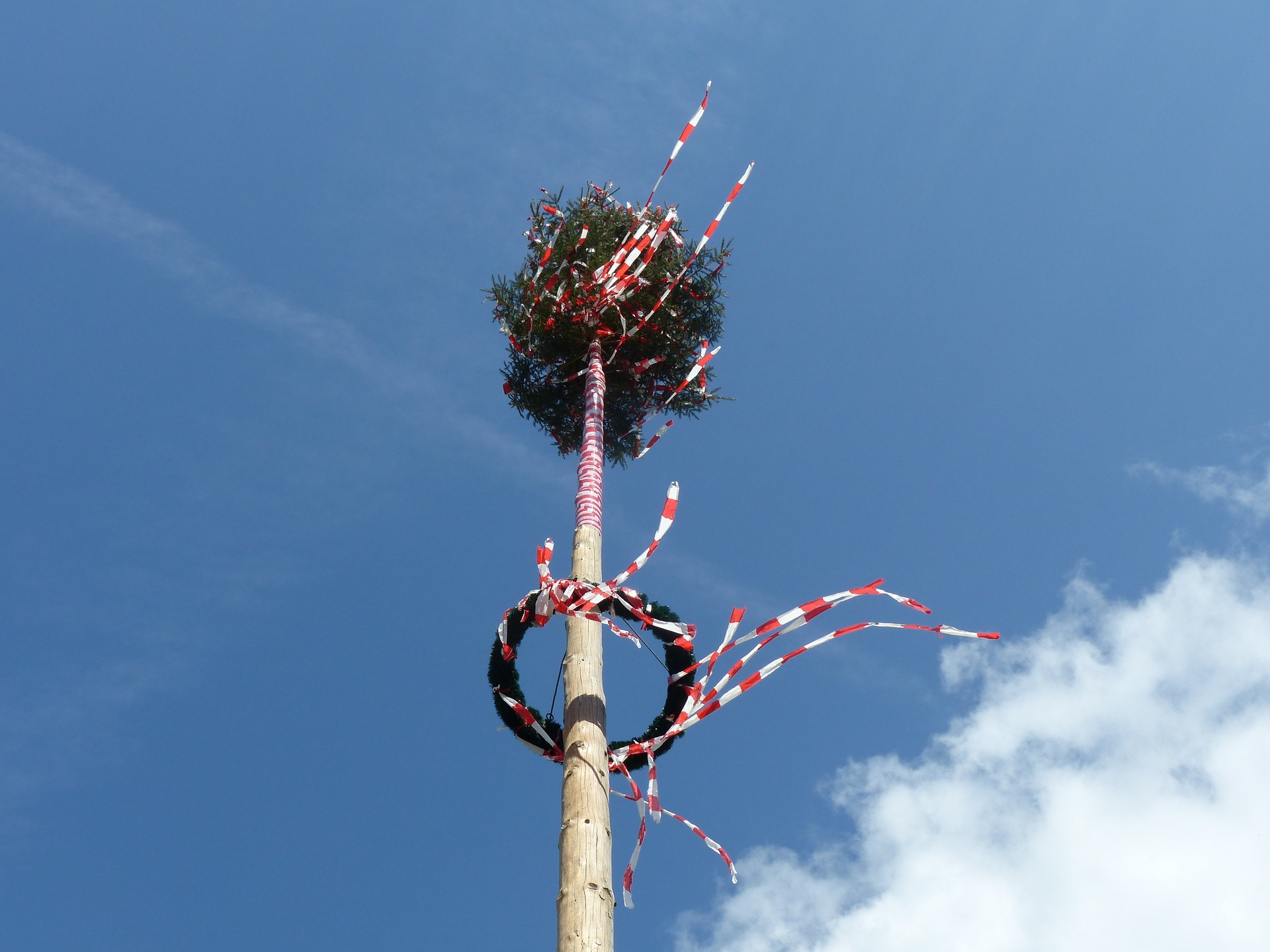 Maibaum.jpg