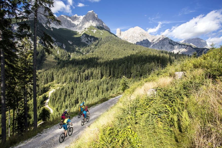 mountainbikenzursteinalm.jpg
