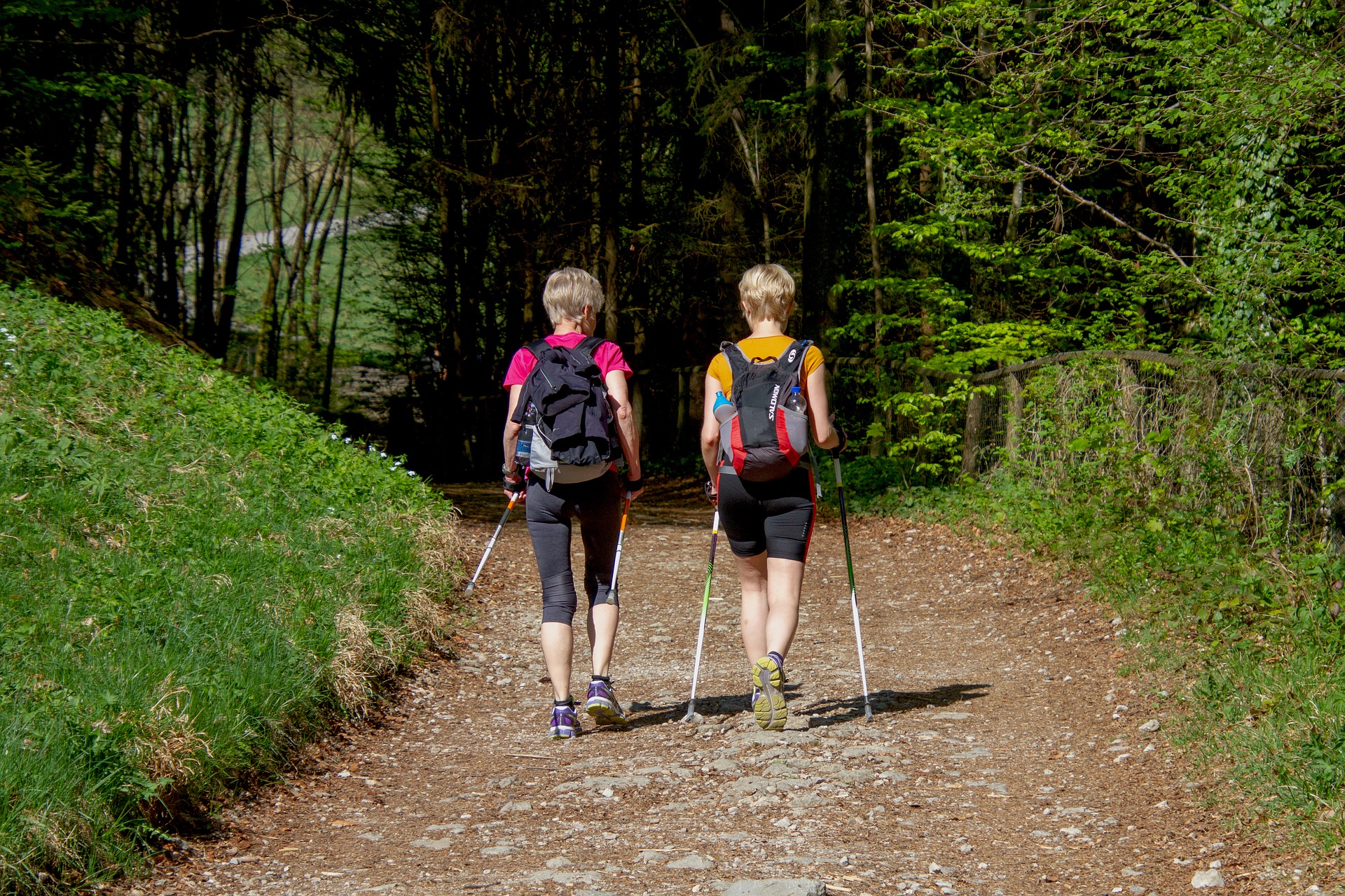 nordicwalking.jpg
