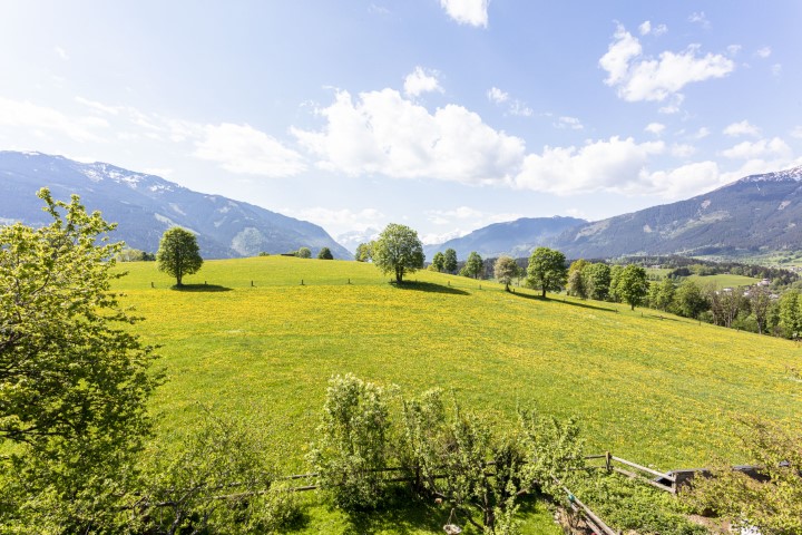 Bezaubernde Frühlingslandschaft mit grünen Wiesen und blauen Himmel
